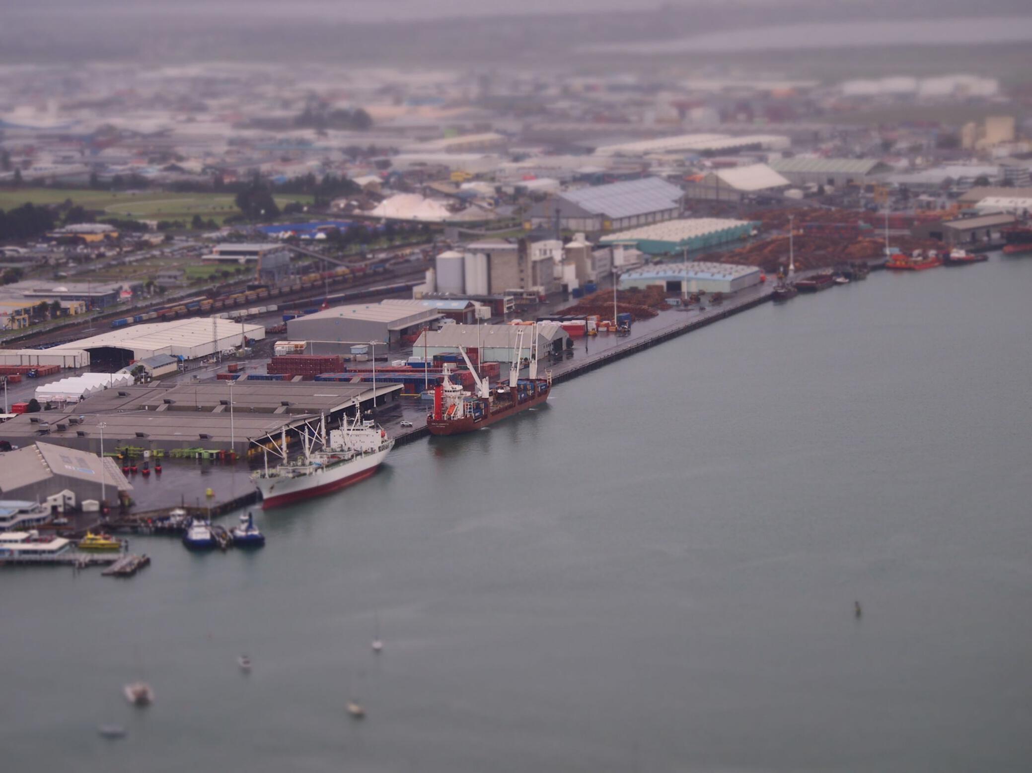 Tauranga port