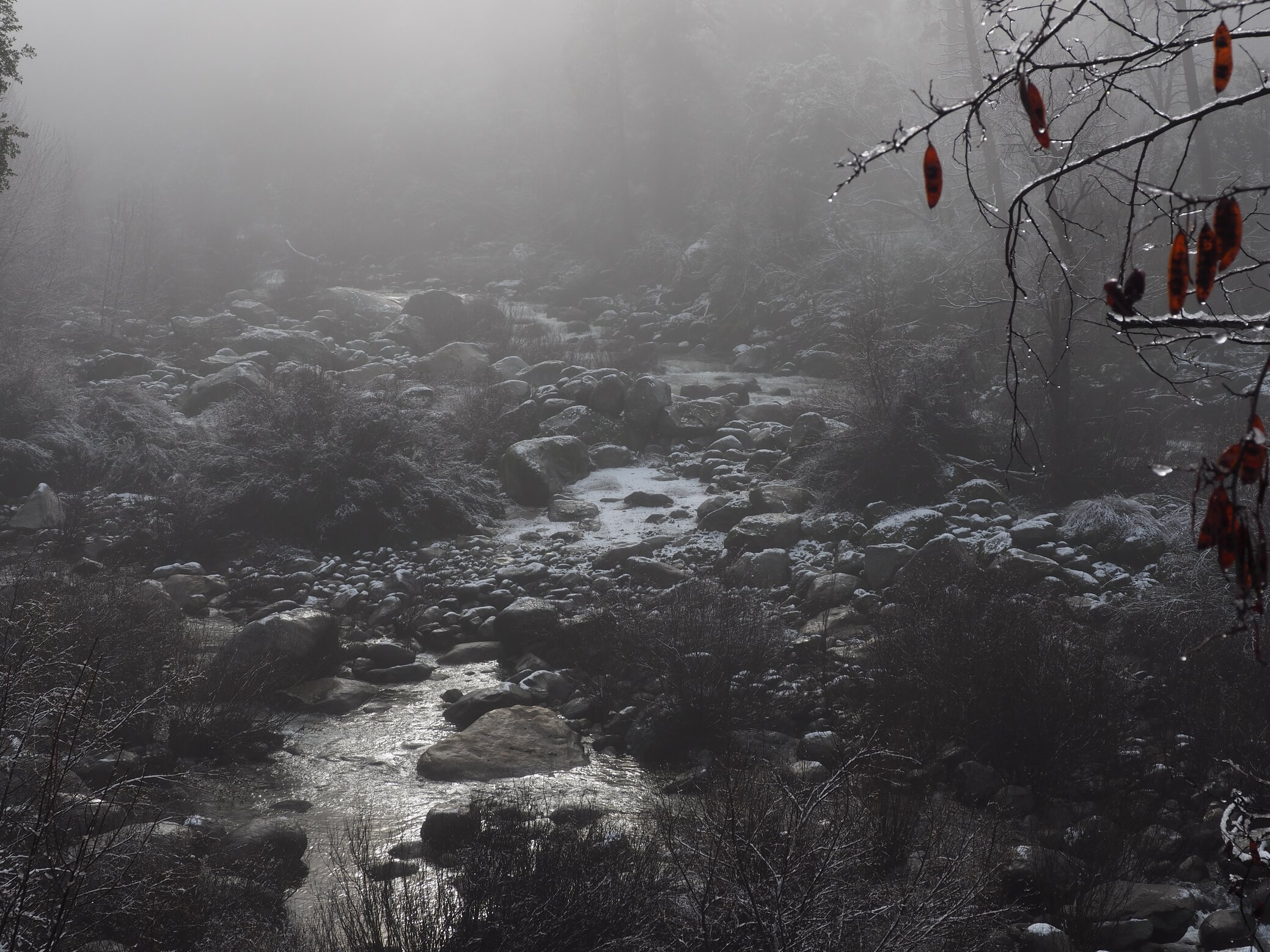 San Francisco 160107 261